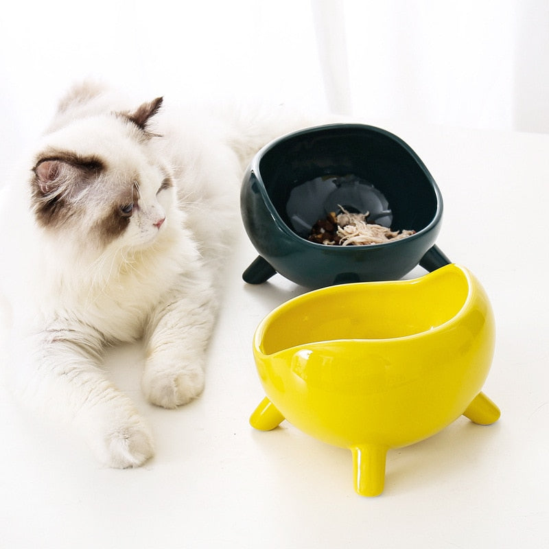 High Foot Pet Bowl With Raised Stand