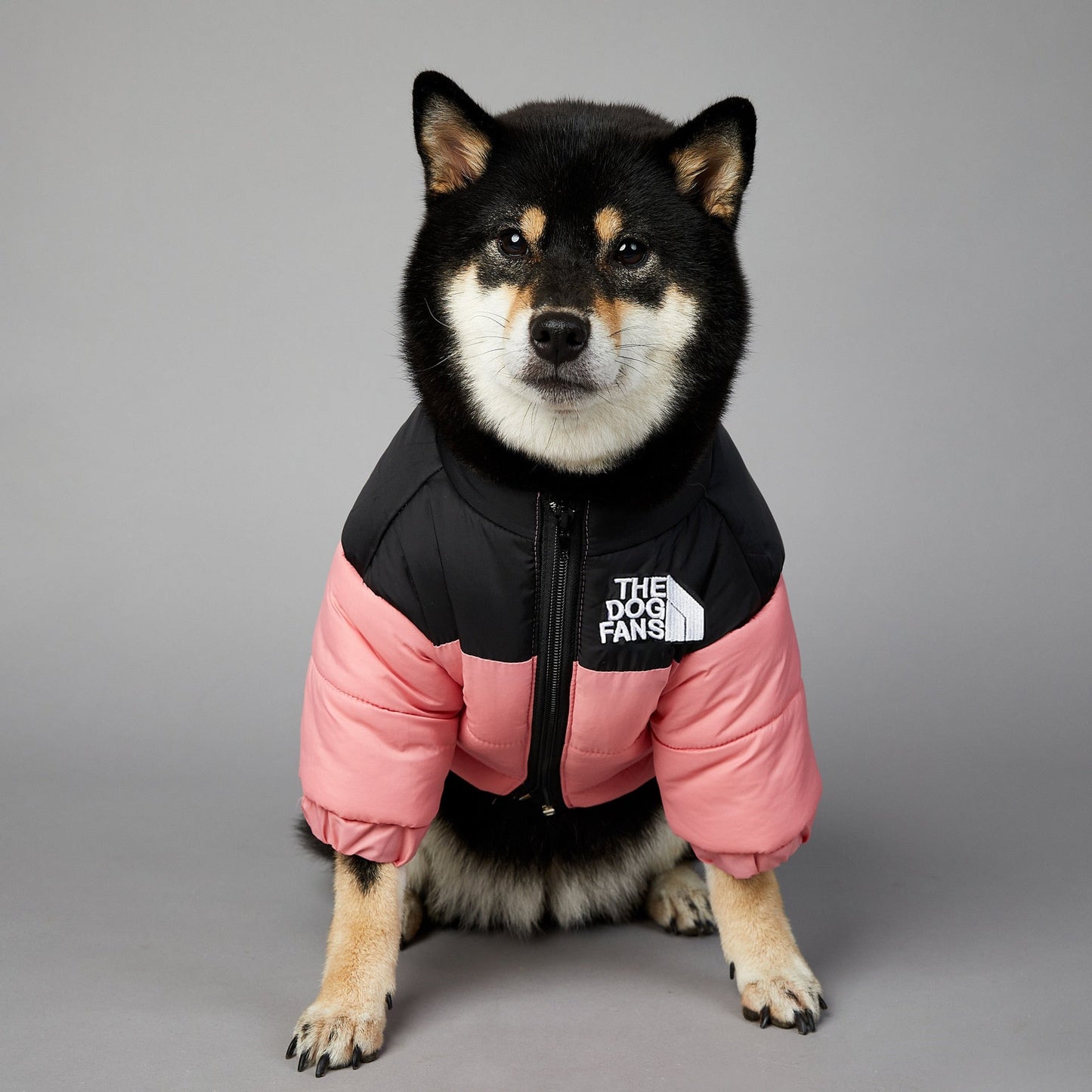 Dog Fan Jacket