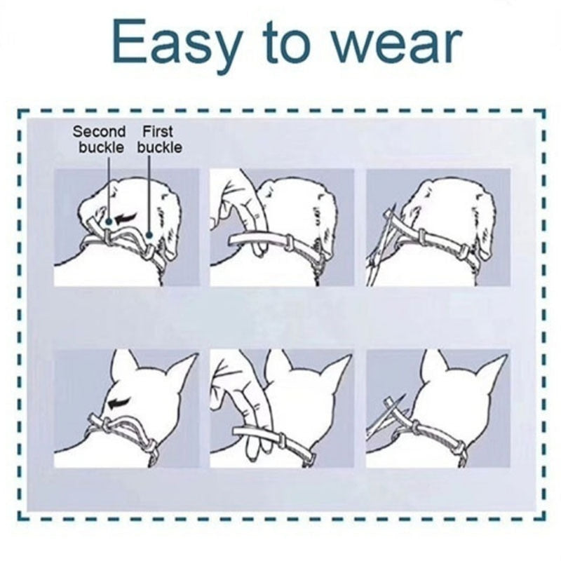Dog Cat Flea & Tick Prevention Collar